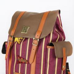 Ghiozdan - Harry Potter - Gryffindor thumbnail