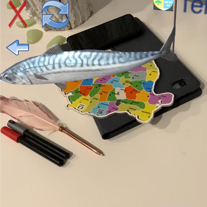 Armap - Harta Romaniei