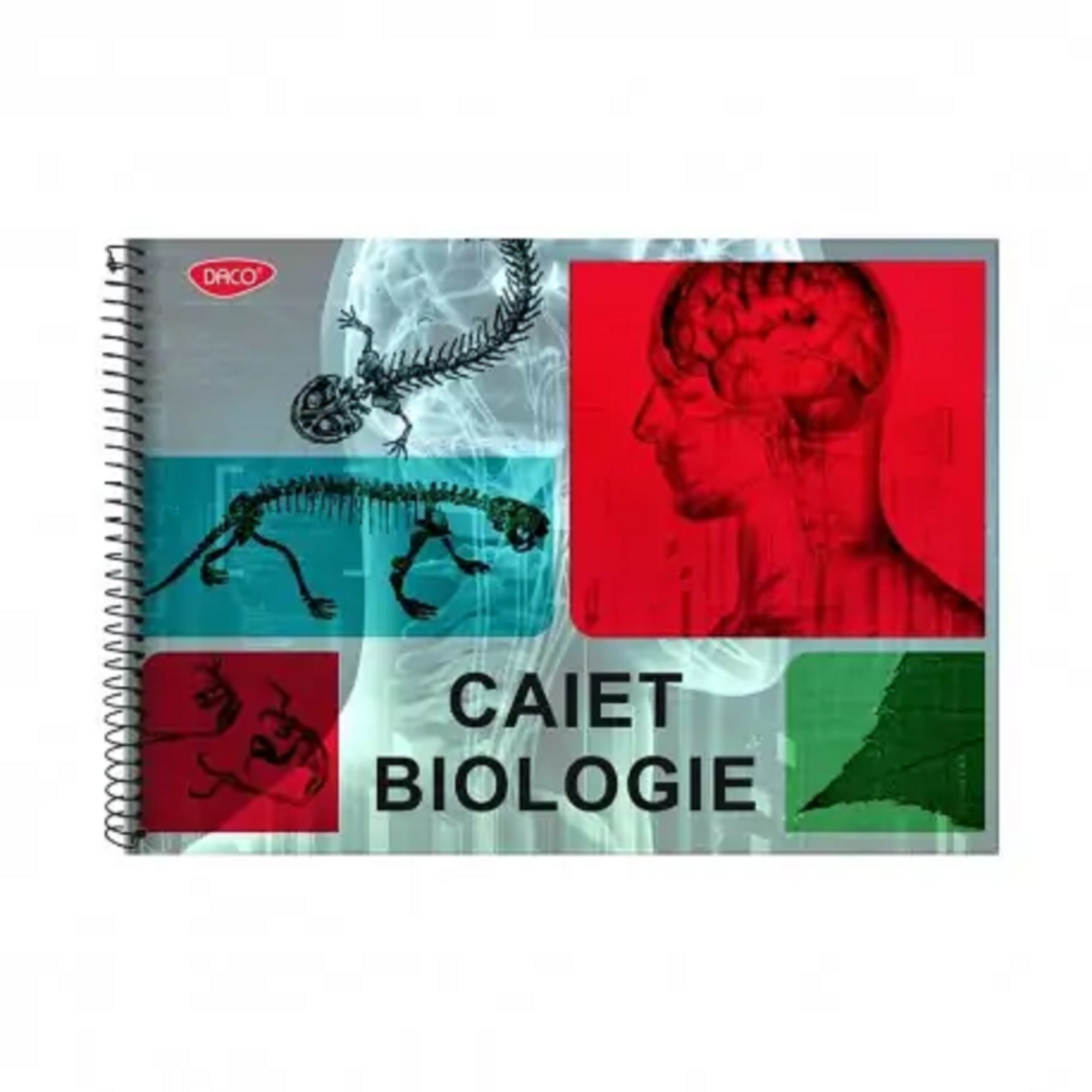 Caiet biologie - Spira, 24 file