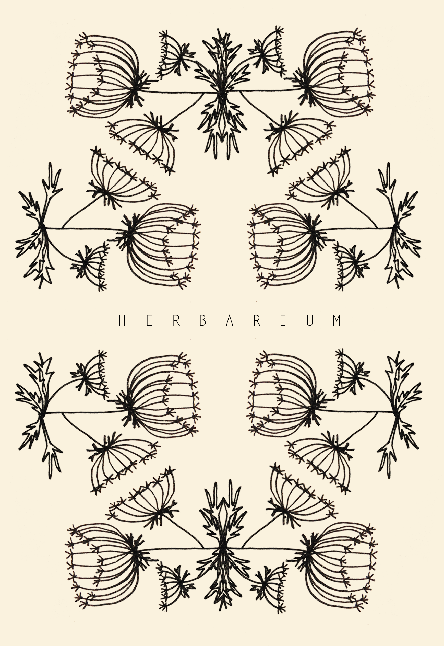 Carnet A6 - Herbarium - mai multe modele