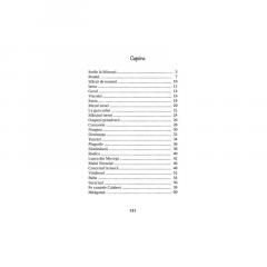 Pasteluri si poezii thumbnail