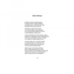 Pasteluri si poezii thumbnail