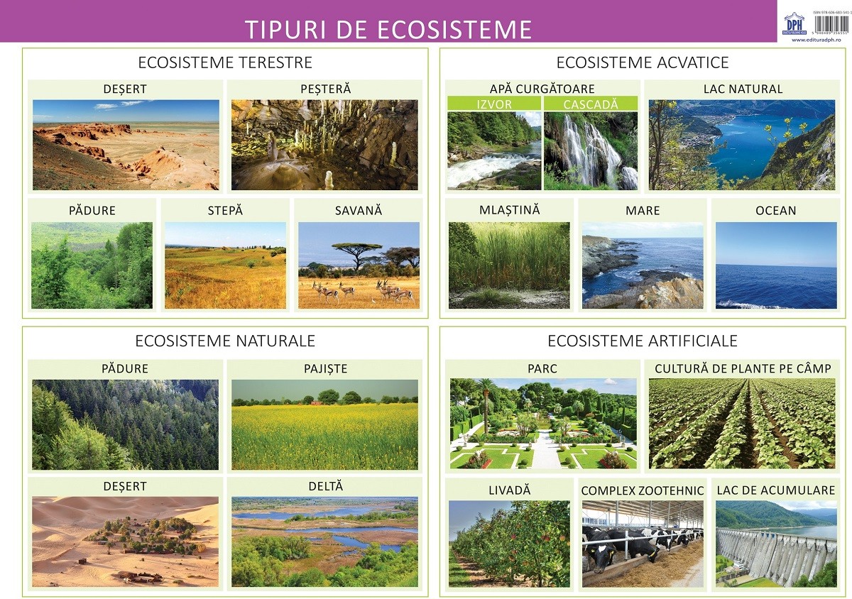 Plansa - Tipuri de ecosisteme