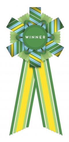 Funda pentru premiere - Congrats - Winner