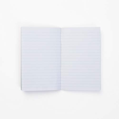 Carnet zodiacal:What we see in the stars