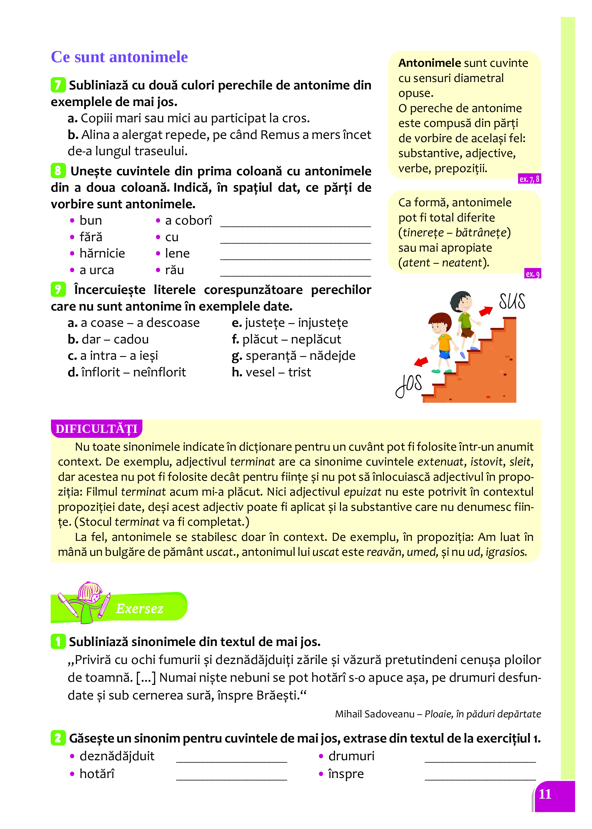Cartea mea de Gramatica - Clasa a VI-a