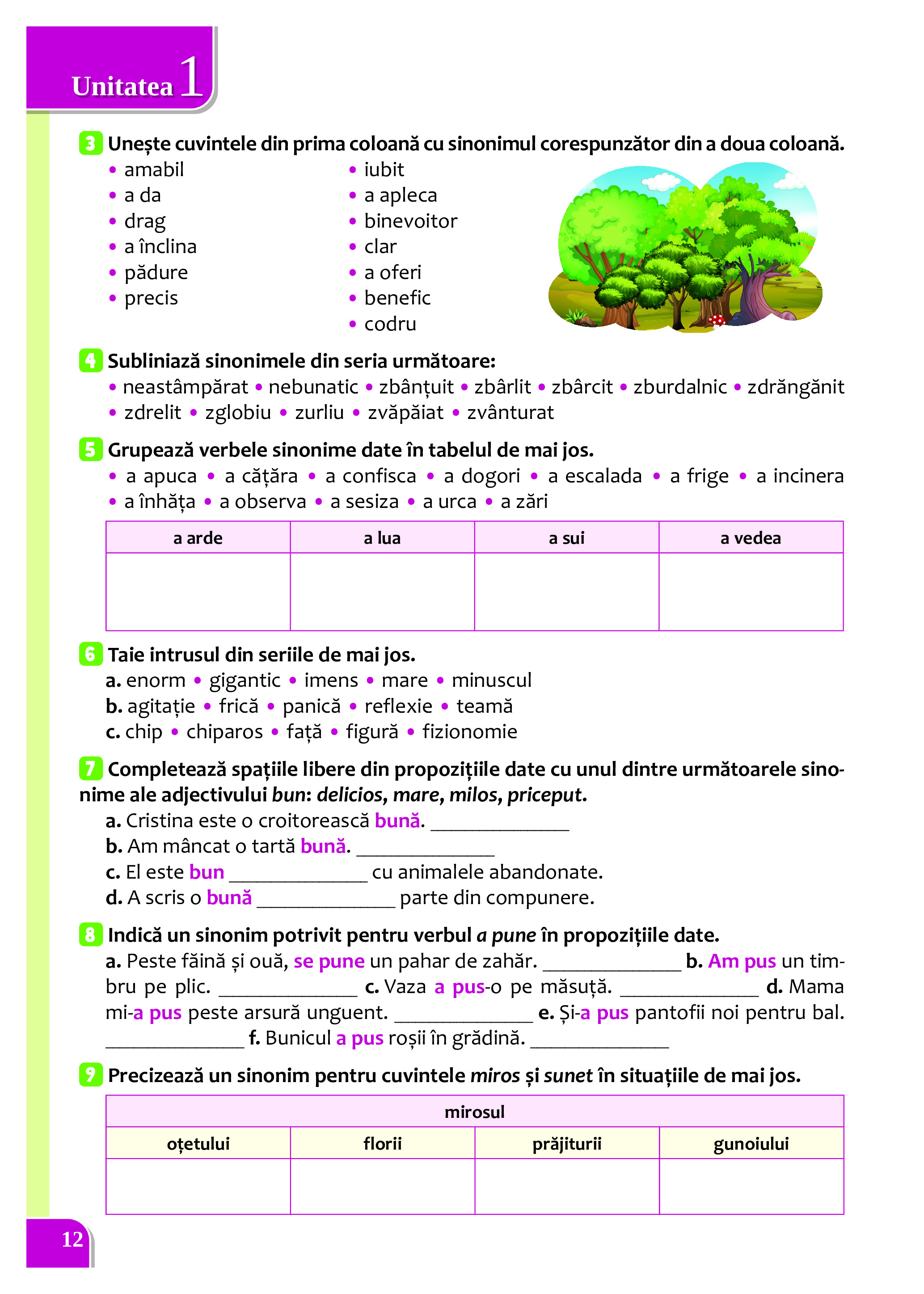 Cartea mea de Gramatica - Clasa a VI-a