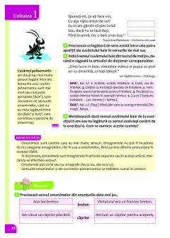 Cartea mea de Gramatica - Clasa a VI-a thumbnail