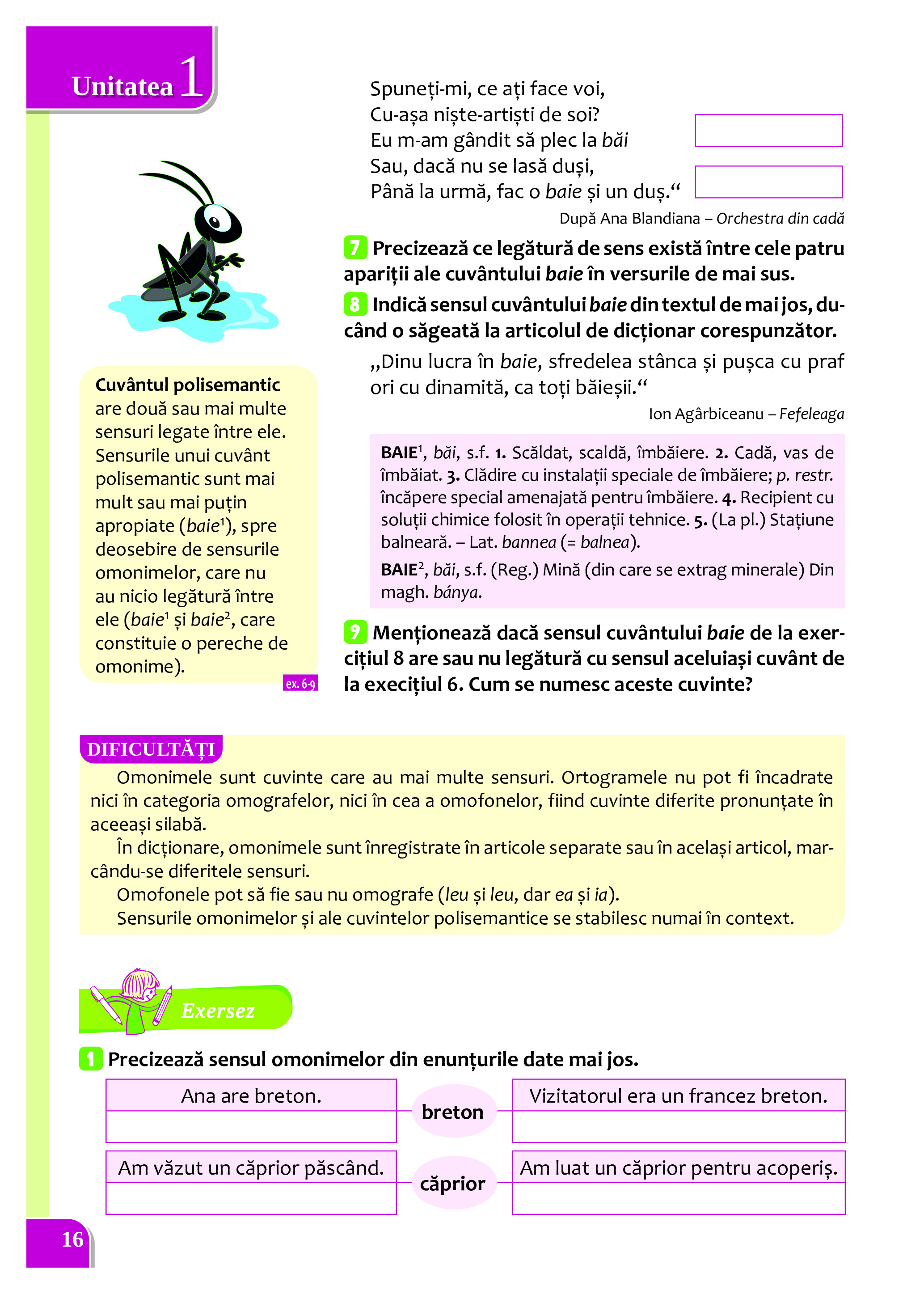 Cartea mea de Gramatica - Clasa a VI-a