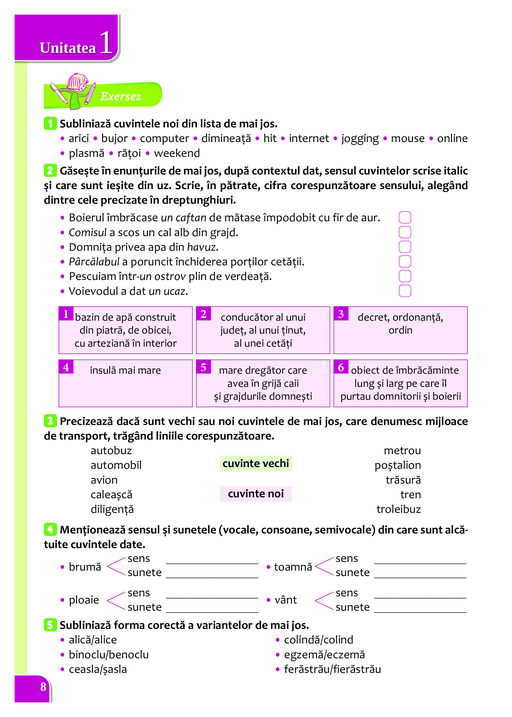 Cartea mea de Gramatica - Clasa a VI-a