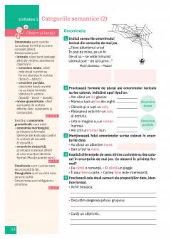 Cartea mea de Gamatica - Clasa a VIII-a thumbnail