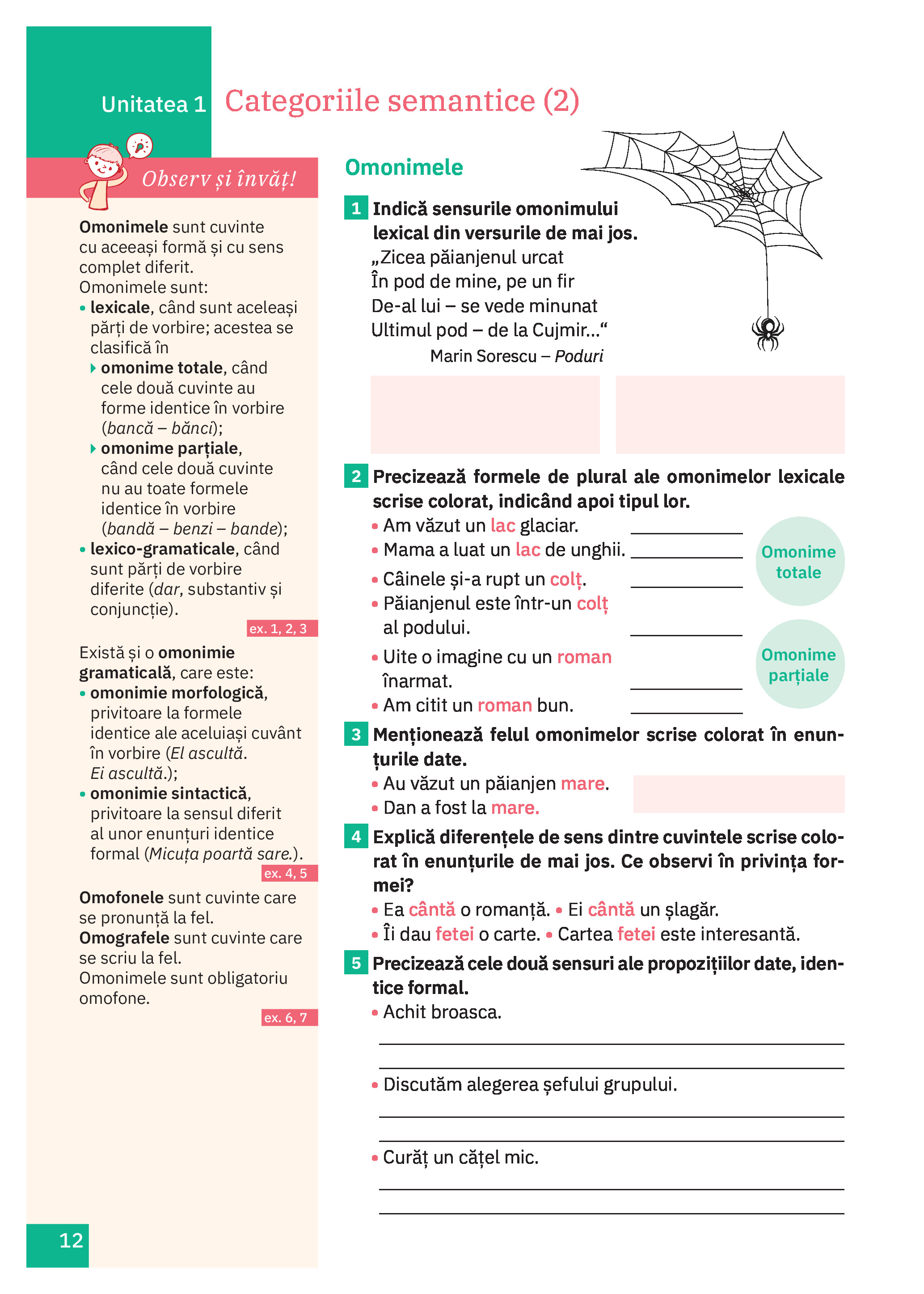 Cartea mea de Gamatica - Clasa a VIII-a