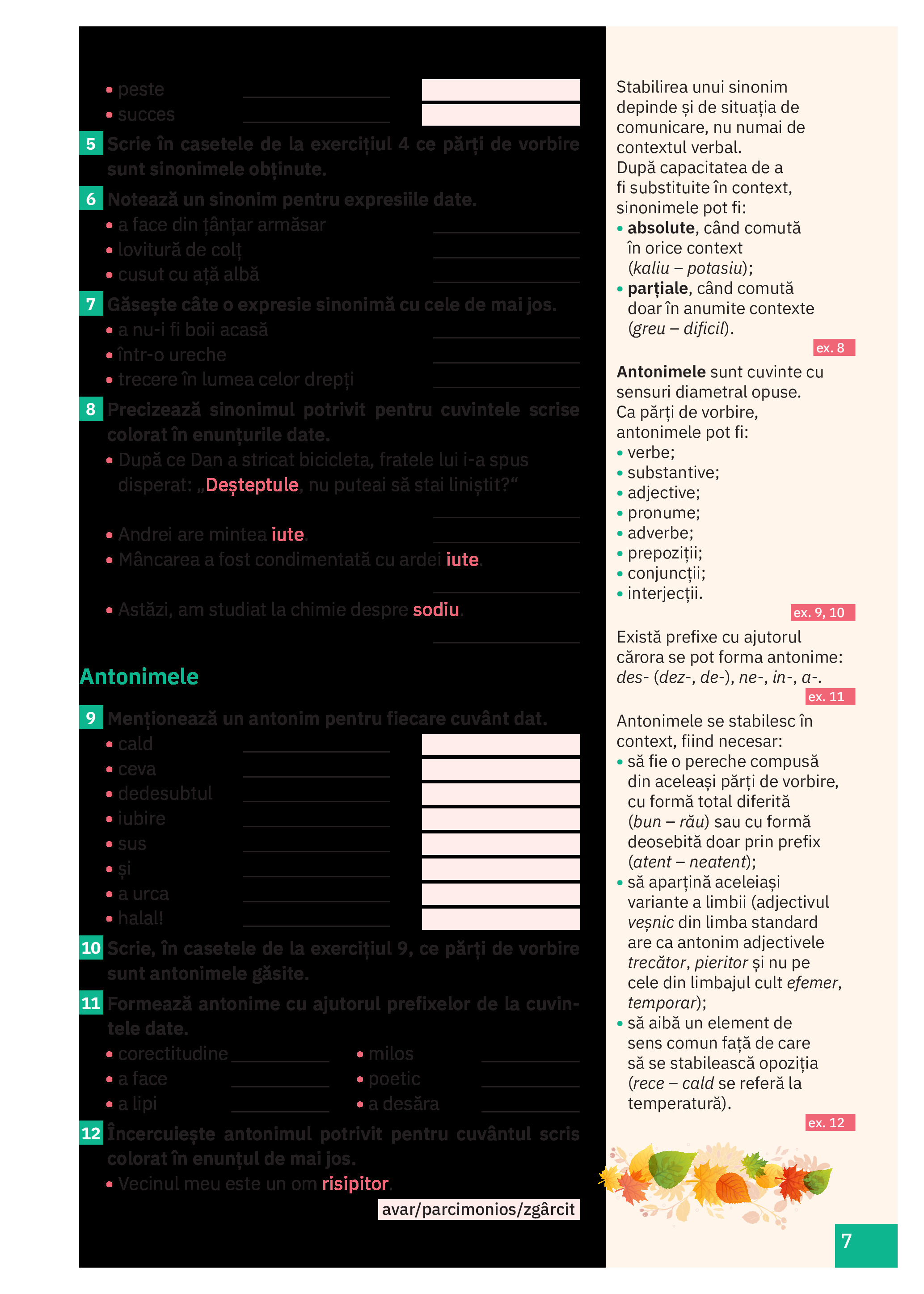 Cartea mea de Gamatica - Clasa a VIII-a