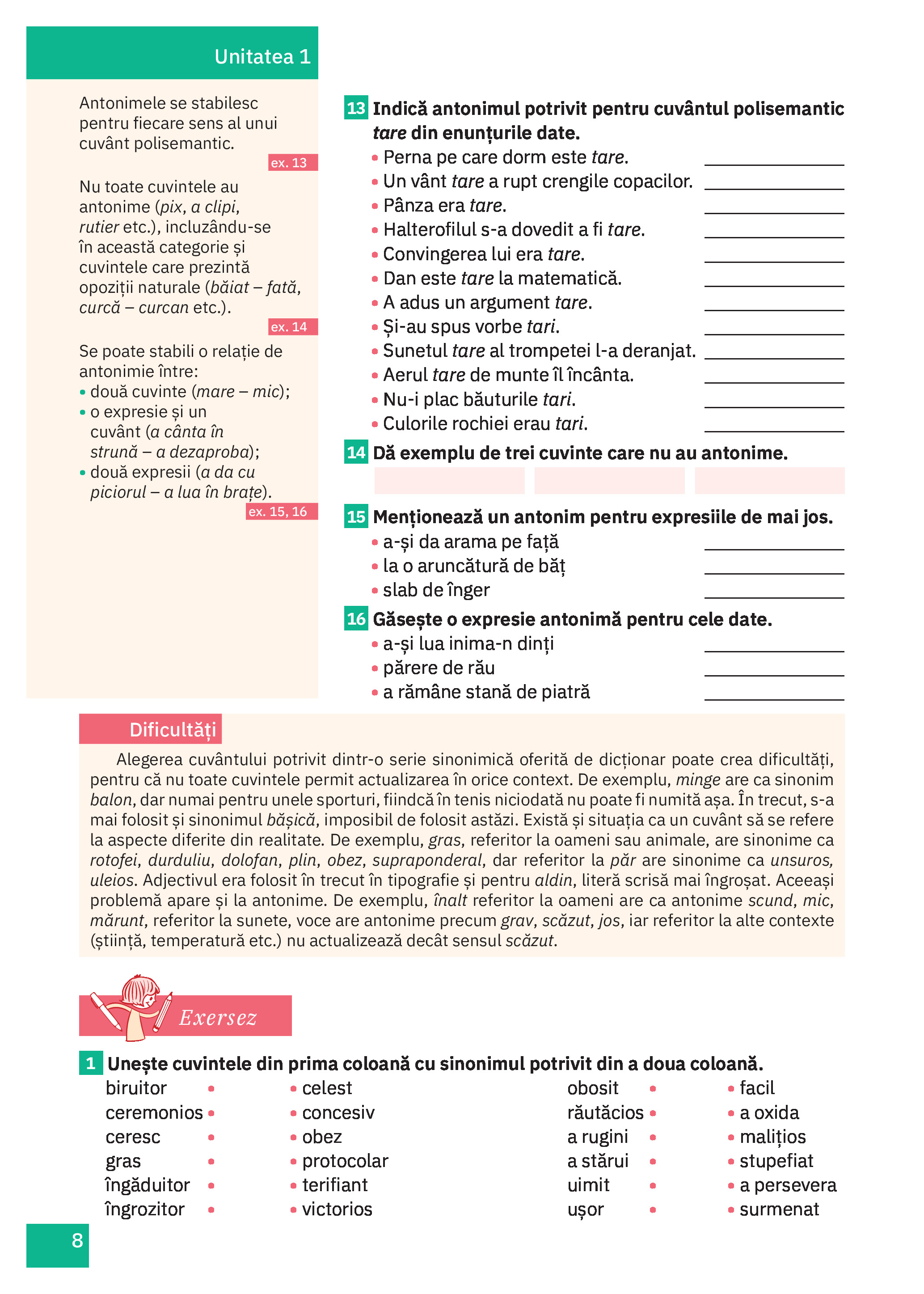 Cartea mea de Gamatica - Clasa a VIII-a