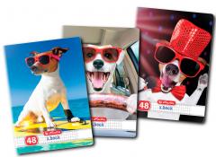 Caiet A5 Patratele - Cool Dog - Modele diferite