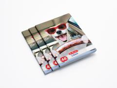 Caiet A5 Patratele - Cool Dog - Modele diferite thumbnail