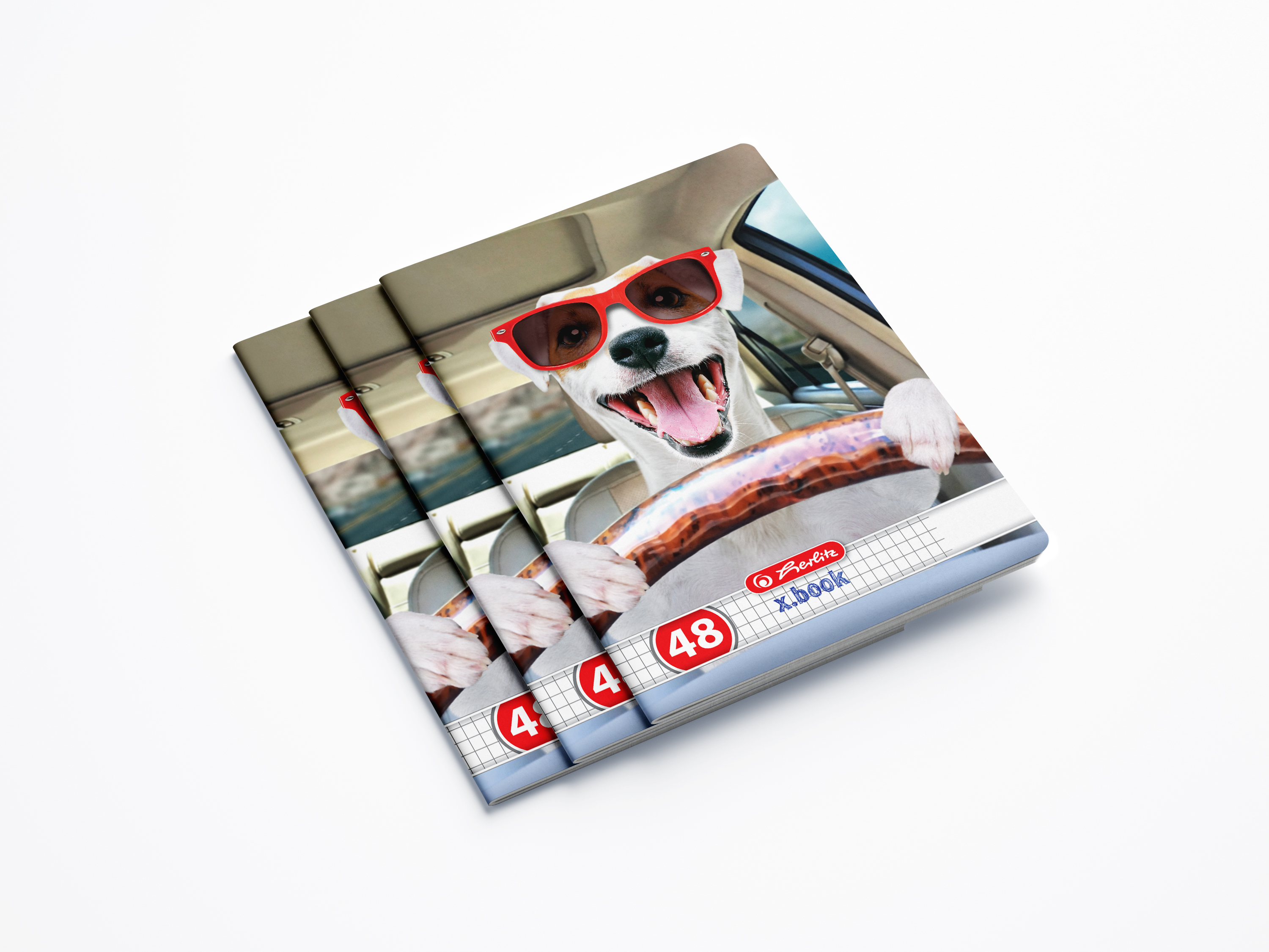 Caiet A5 Patratele - Cool Dog - Modele diferite